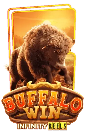 buffalo-win -แท่งหวย24